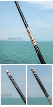 台钓竿的介绍